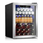 Glass Door Fridge